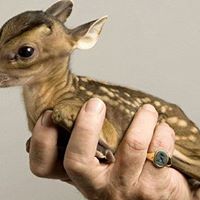 Deborah High Photo 6