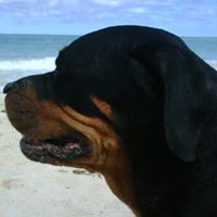 Scott Freitas Photo 24