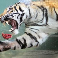 Karen Nevins Photo 10