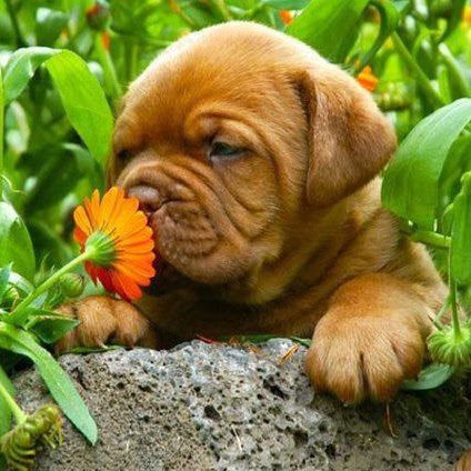 Martha Perkins Photo 18