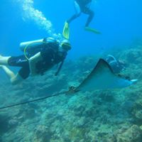 Paul Beckman Photo 20