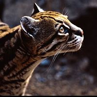 Roberta Tucker Photo 21