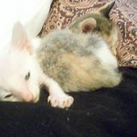 Kevin Borden Photo 11