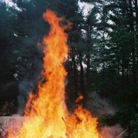 Debra Goodwin Photo 41