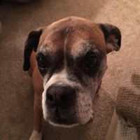 Kathleen Bourgeois Photo 2