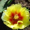 Ann Wilkinson Photo 36