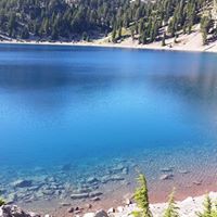 Annette Robbins Photo 15