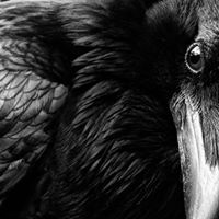 David Duperre Photo 2