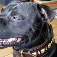 Rachel Flemming Photo 9