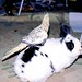 Nancy Sweet Photo 39