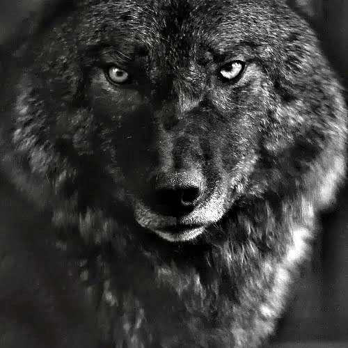 Laura Weldon Photo 16