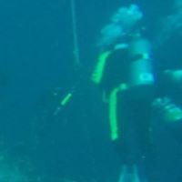 Patrick Kerwin Photo 11 Patrick Kerwin Photo 11