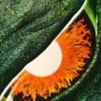 Kyle Lindsey Photo 16