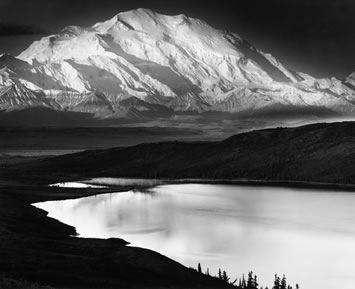 Steve Rollins Photo 35