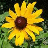 Debra Rainey Photo 12
