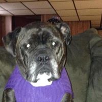 Ricky Covert Photo 4