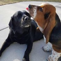 Kent Walters Photo 10