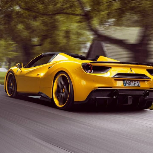 Leonardo Cruz Photo 14 Leonardo Cruz Photo 14