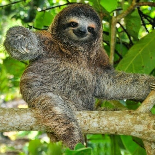 Charlie Barber Photo 34 Charlie Barber Photo 34