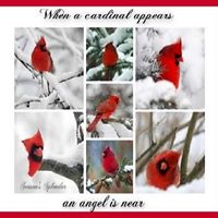 Terri Lowrey Photo 7