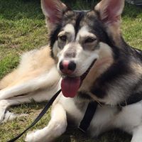 Rachel Mcfarland Photo 43