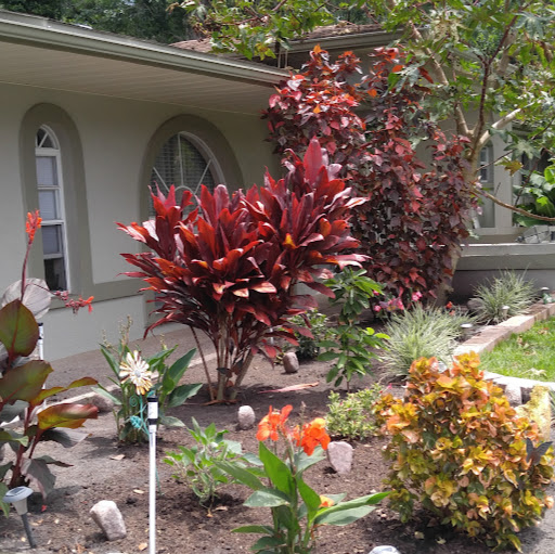 Robin Tipton Photo 21