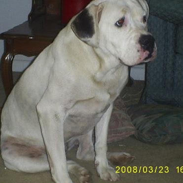 Jenny Howell Photo 17