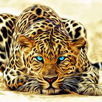 Linda Crawford Photo 38