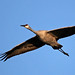 John Dykstra Photo 45