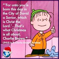 Susan Jewell Photo 17