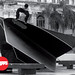 William Hopp Photo 17