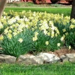 Cheryl Holder Photo 10