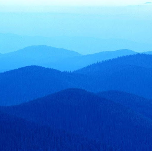 Christina Wolf Photo 19