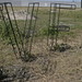 Stacie Ward Photo 26