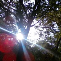 Mary Metcalfe Photo 31