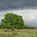 Katie Storm Photo 24