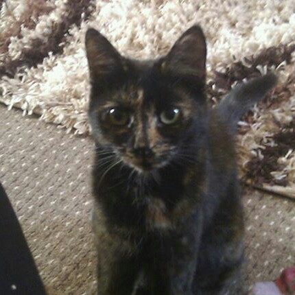 Sally Thompson Photo 24