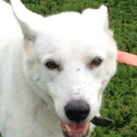 Sandra Sproul Photo 4