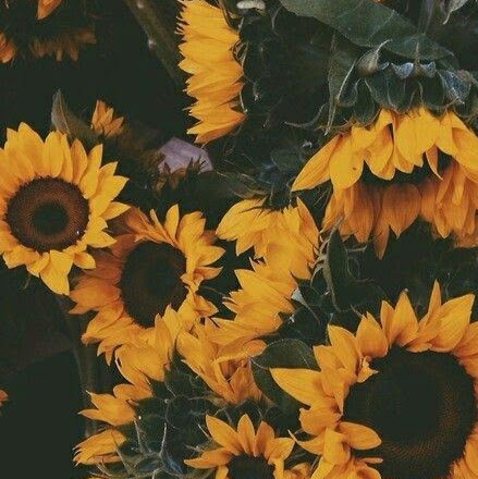 Melissa Merritt Photo 34