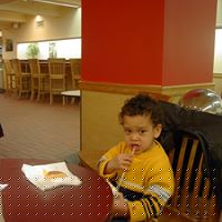 Sandra Hankins Photo 16