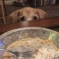 Colleen Malley Photo 4