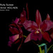 Anne Holmes Photo 35