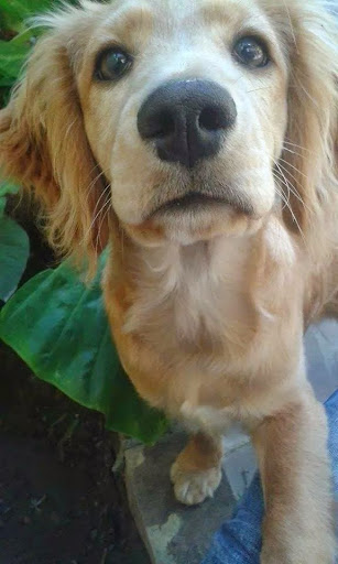 Pamela Ruth Photo 14