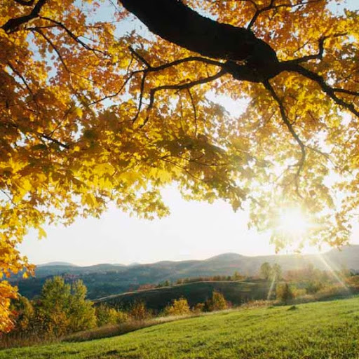 Patti Burns Photo 19