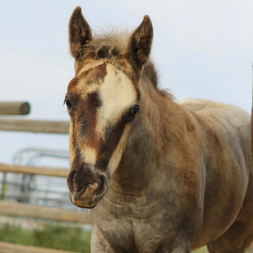 Don Pierson Photo 30