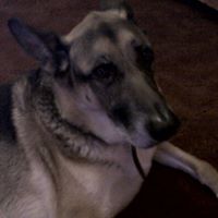 Karl Freeman Photo 36