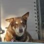 Gail Gaffney Photo 7