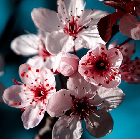 Beth Adkins Photo 15