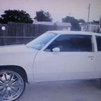 Walter Banks Photo 13