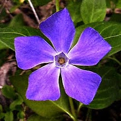 Megan Tierney Photo 11